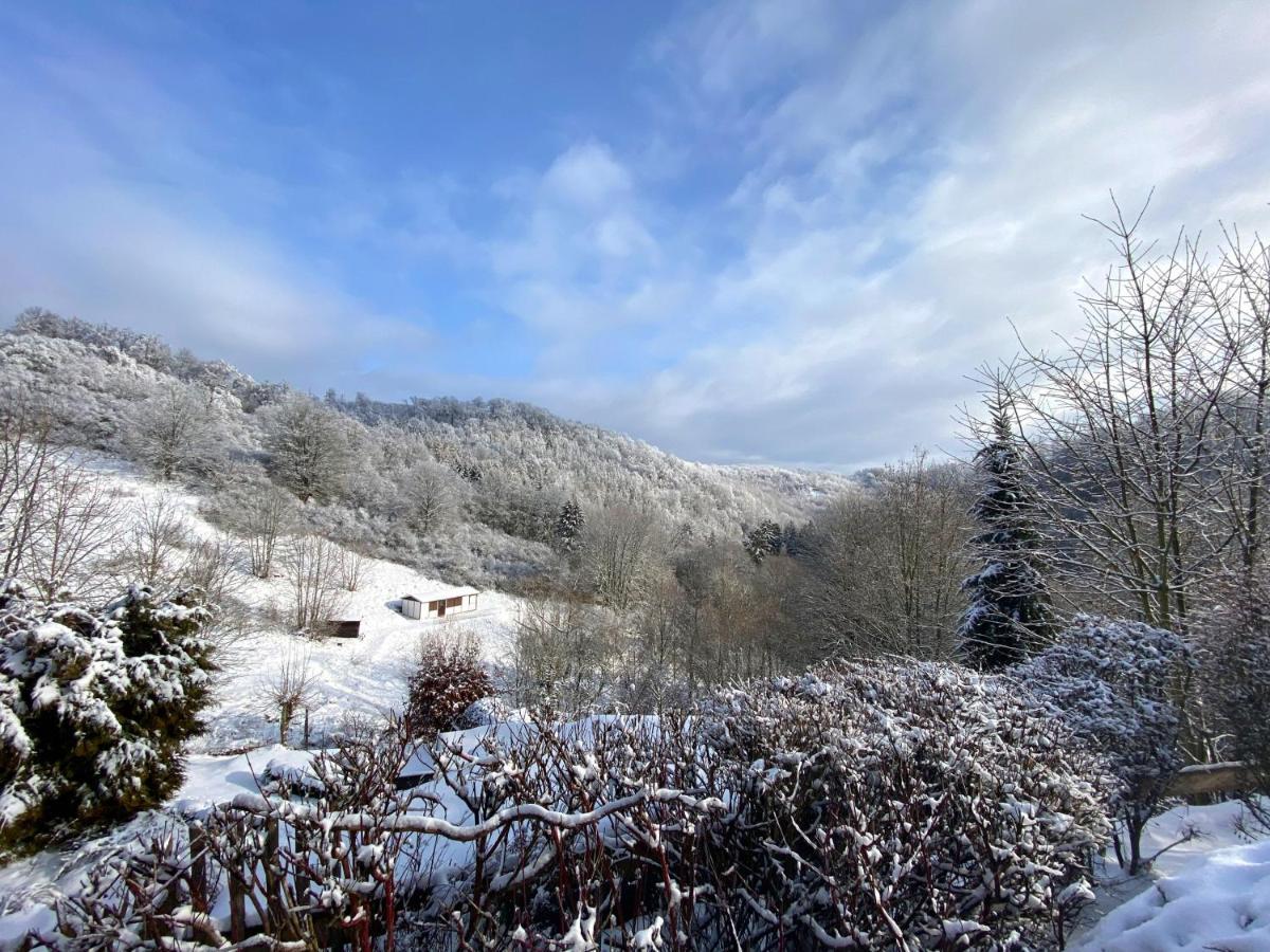 Das Gruene Haus Am Hexenstieg รูเบอร์ลันด์ ภายนอก รูปภาพ